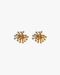 ERIZO EARRINGS